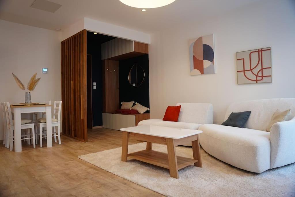 Bel Appartement Centre-Ville Saint-Etienne  Esterno foto
